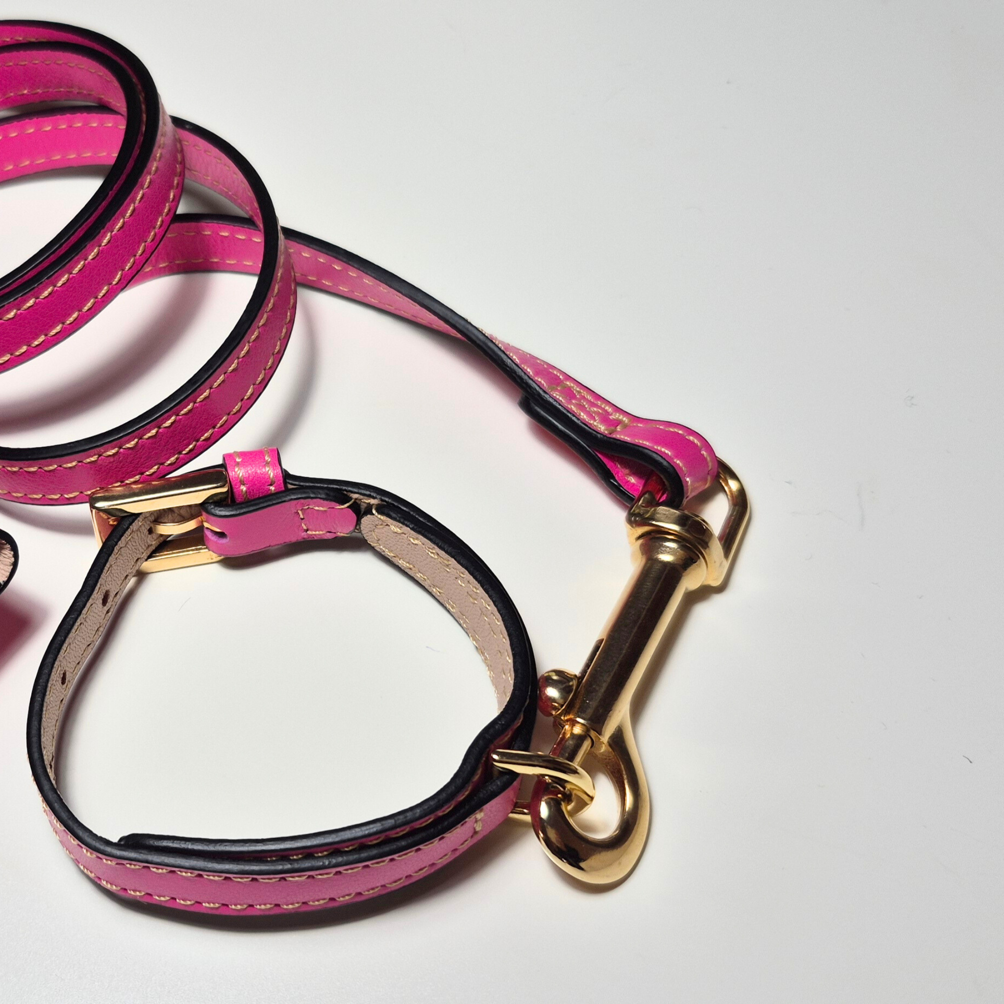 Set Collare e Guinzaglio in Pelle con Porta Sacchetti